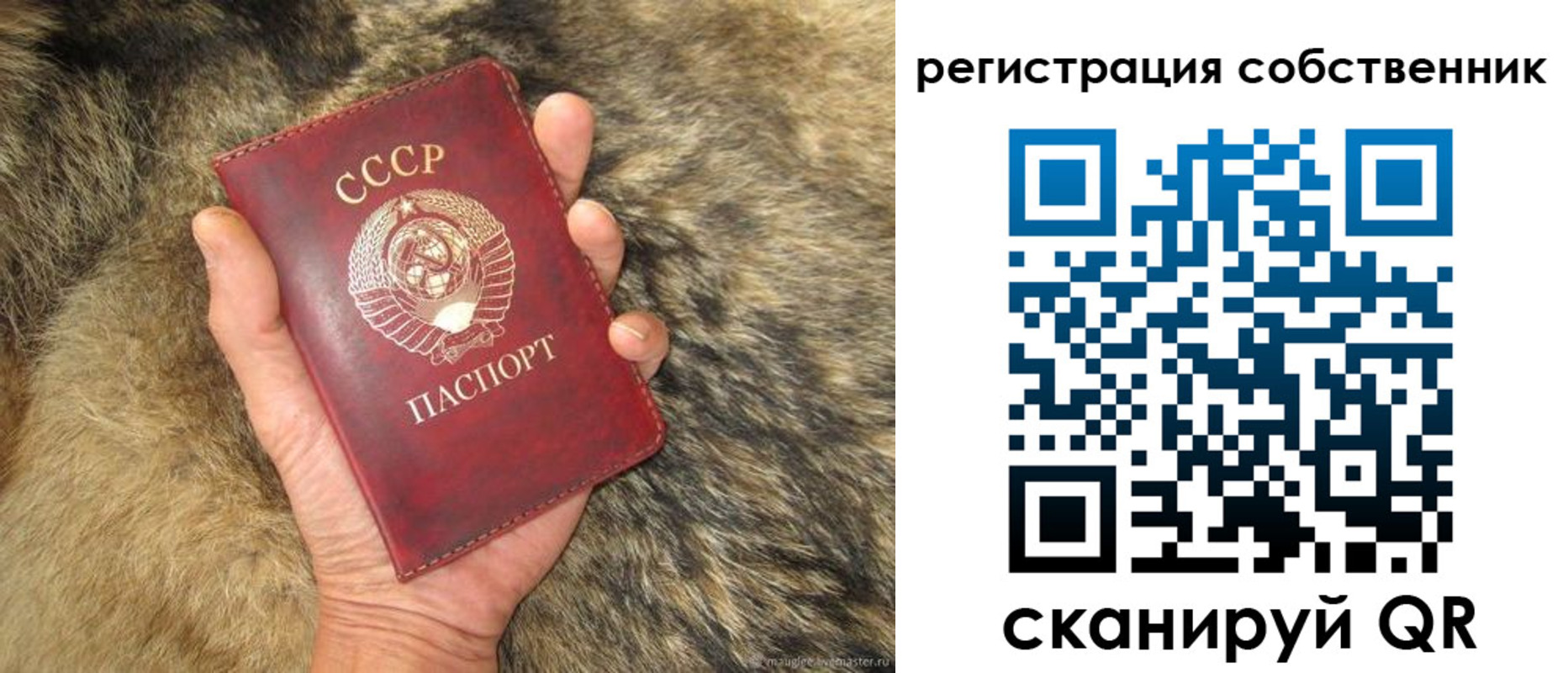 прописка 2025 в Серпухове
